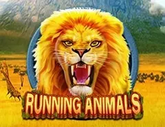 Running Animals - Sloty